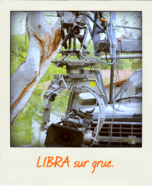 libra biarrizt